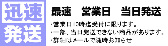 迅速発送最速当日発送